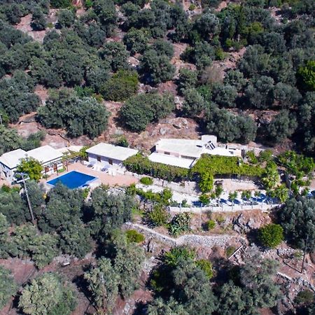 Villa Talos Palaiochora Exterior photo